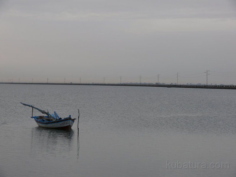 003 P1050451.jpg